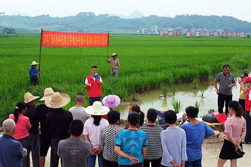 黄日波率队赴罗城县开展 为民办实事助推乡村振兴委员行动